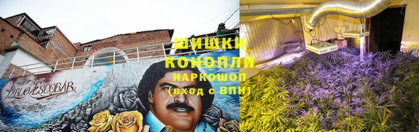 jwh Дмитриев