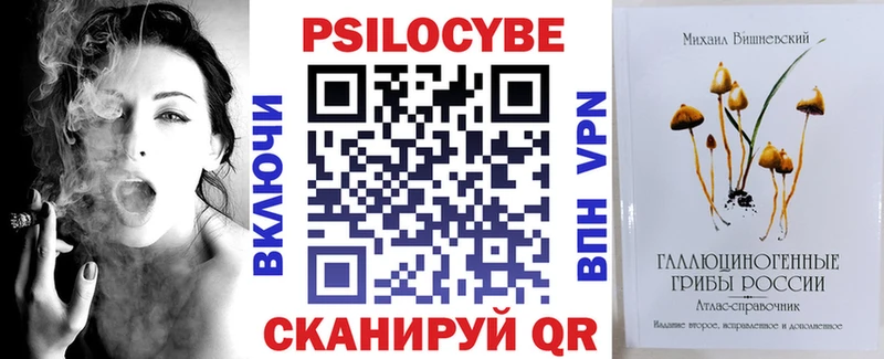Псилоцибиновые грибы Psilocybe  Купить  Новозыбков 